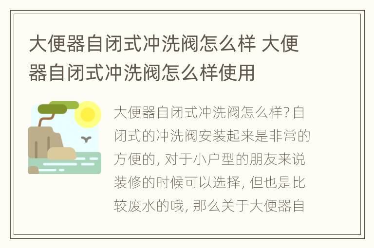 大便器自闭式冲洗阀怎么样 大便器自闭式冲洗阀怎么样使用