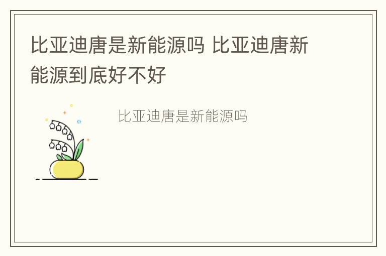 比亚迪唐是新能源吗 比亚迪唐新能源到底好不好