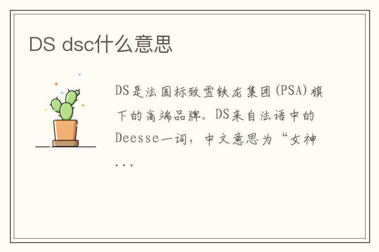 DS dsc什么意思