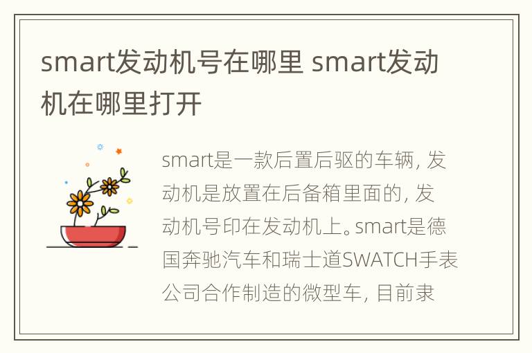 smart发动机号在哪里 smart发动机在哪里打开