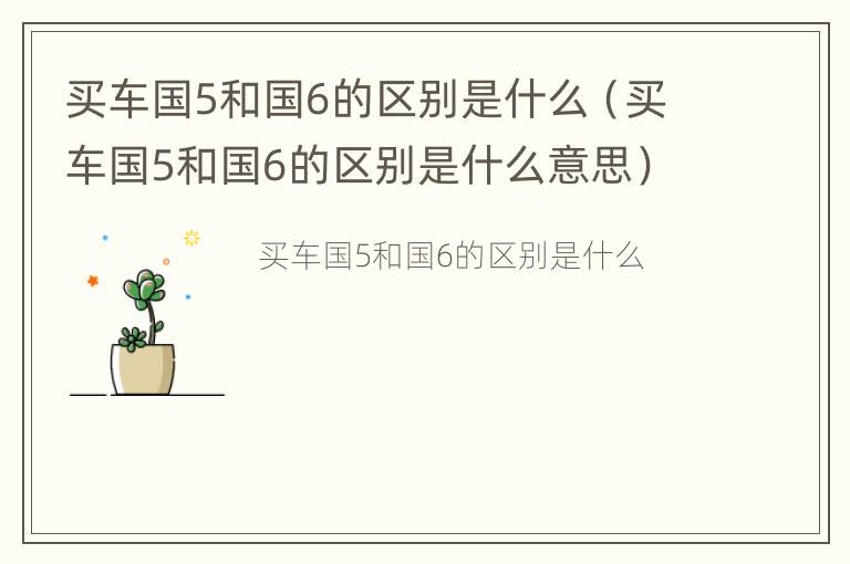 买车国5和国6的区别是什么（买车国5和国6的区别是什么意思）