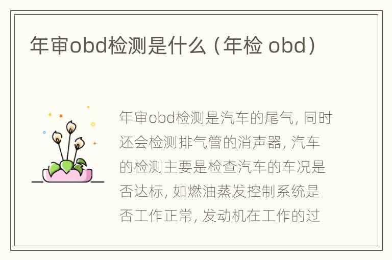 年审obd检测是什么（年检 obd）