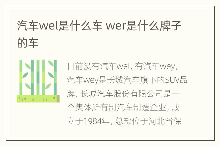 汽车wel是什么车 wer是什么牌子的车