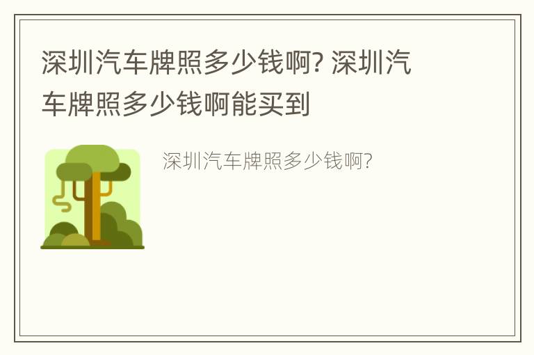 深圳汽车牌照多少钱啊? 深圳汽车牌照多少钱啊能买到