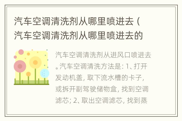 汽车空调清洗剂从哪里喷进去（汽车空调清洗剂从哪里喷进去的）