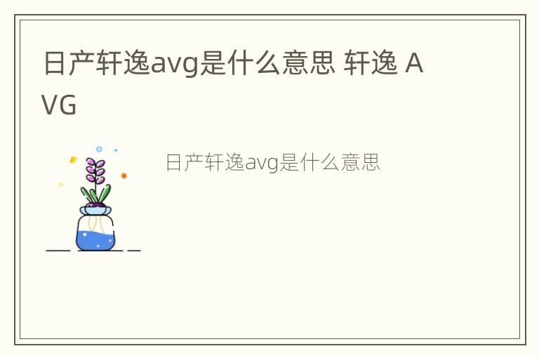 日产轩逸avg是什么意思 轩逸 AVG