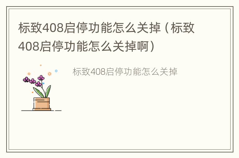 标致408启停功能怎么关掉（标致408启停功能怎么关掉啊）