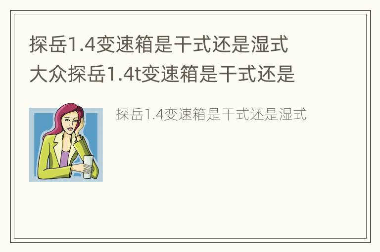 探岳1.4变速箱是干式还是湿式 大众探岳1.4t变速箱是干式还是湿式