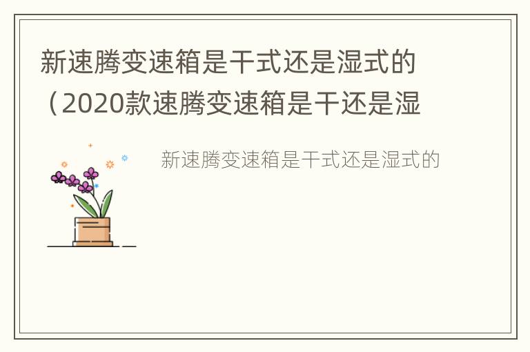 新速腾变速箱是干式还是湿式的（2020款速腾变速箱是干还是湿）