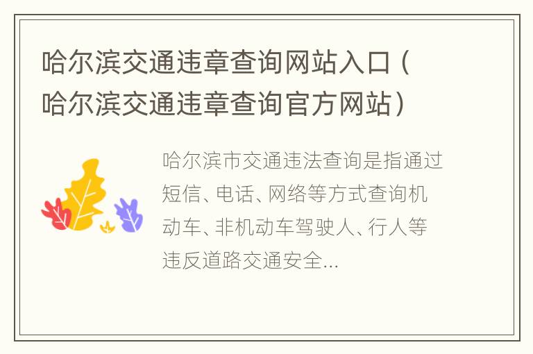 哈尔滨交通违章查询网站入口（哈尔滨交通违章查询官方网站）