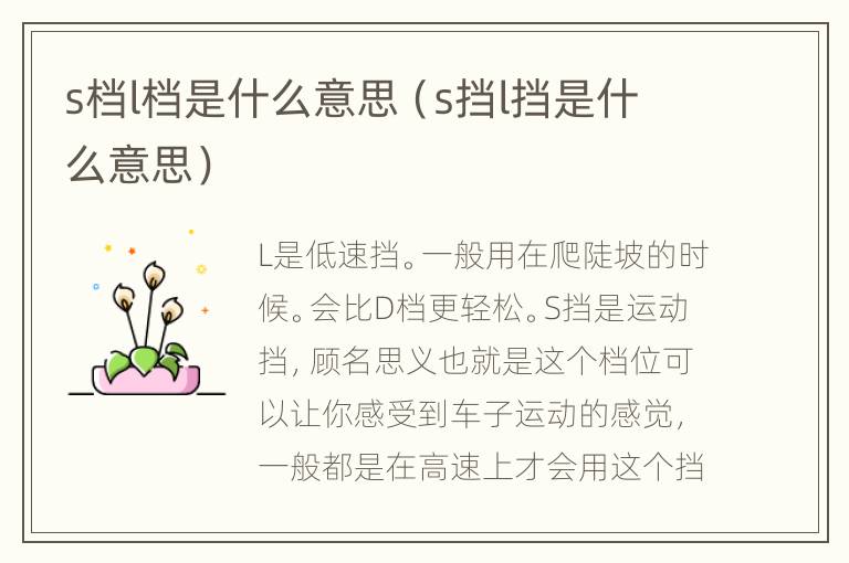 s档l档是什么意思（s挡l挡是什么意思）