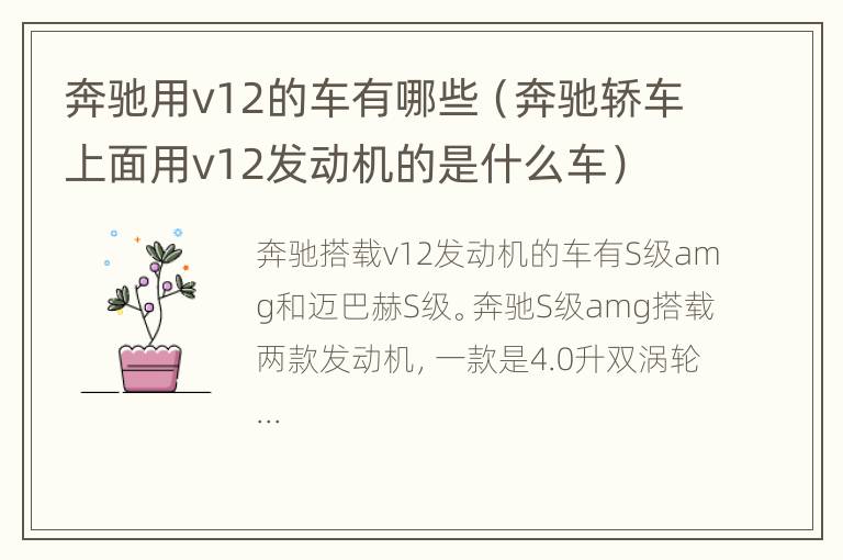 奔驰用v12的车有哪些（奔驰轿车上面用v12发动机的是什么车）