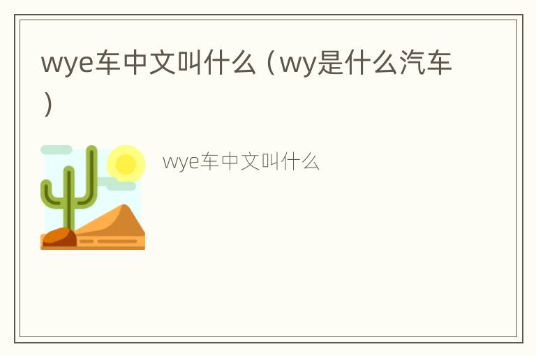 wye车中文叫什么（wy是什么汽车）