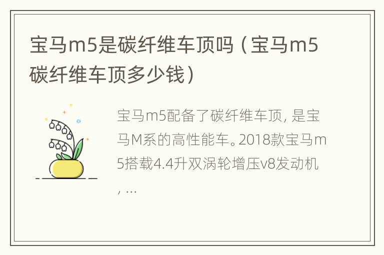 宝马m5是碳纤维车顶吗（宝马m5碳纤维车顶多少钱）