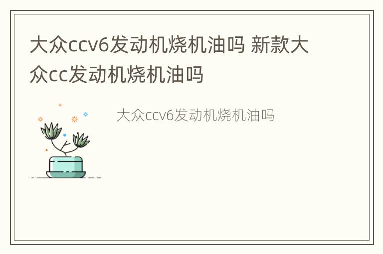 大众ccv6发动机烧机油吗 新款大众cc发动机烧机油吗