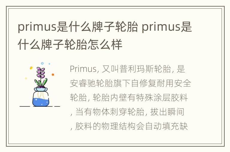 primus是什么牌子轮胎 primus是什么牌子轮胎怎么样