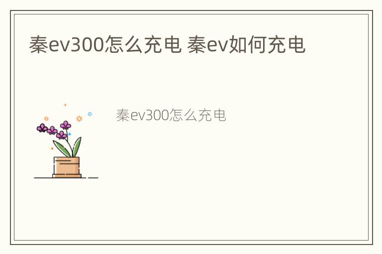 秦ev300怎么充电 秦ev如何充电