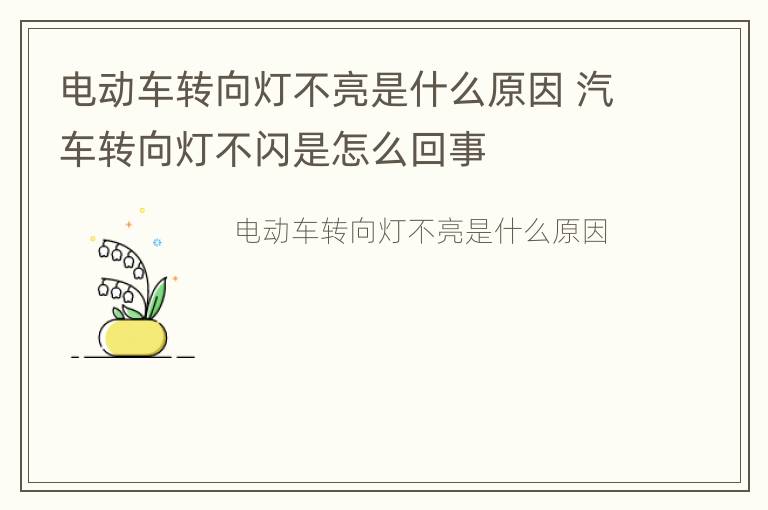 电动车转向灯不亮是什么原因 汽车转向灯不闪是怎么回事