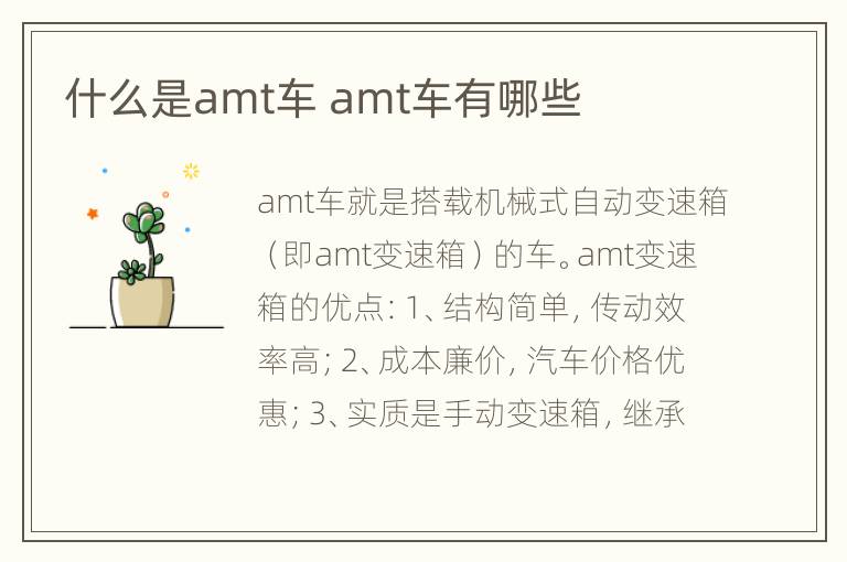 什么是amt车 amt车有哪些