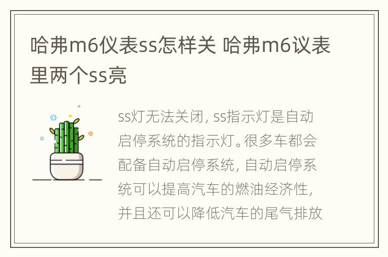 哈弗m6仪表ss怎样关 哈弗m6议表里两个ss亮