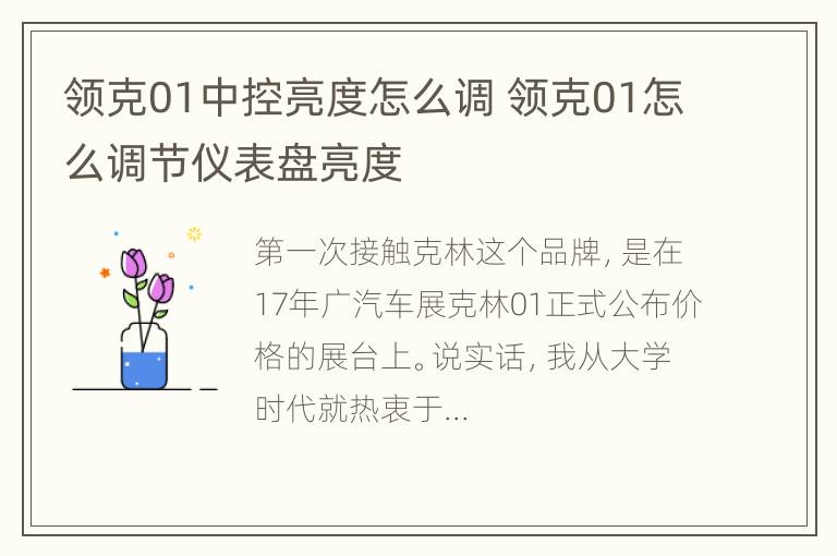 领克01中控亮度怎么调 领克01怎么调节仪表盘亮度