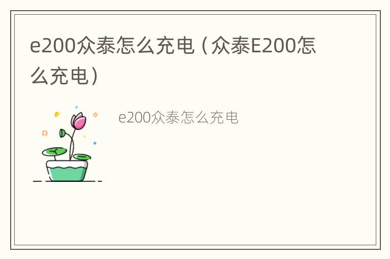 e200众泰怎么充电（众泰E200怎么充电）