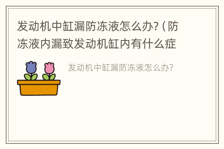 发动机中缸漏防冻液怎么办?（防冻液内漏致发动机缸内有什么症状）