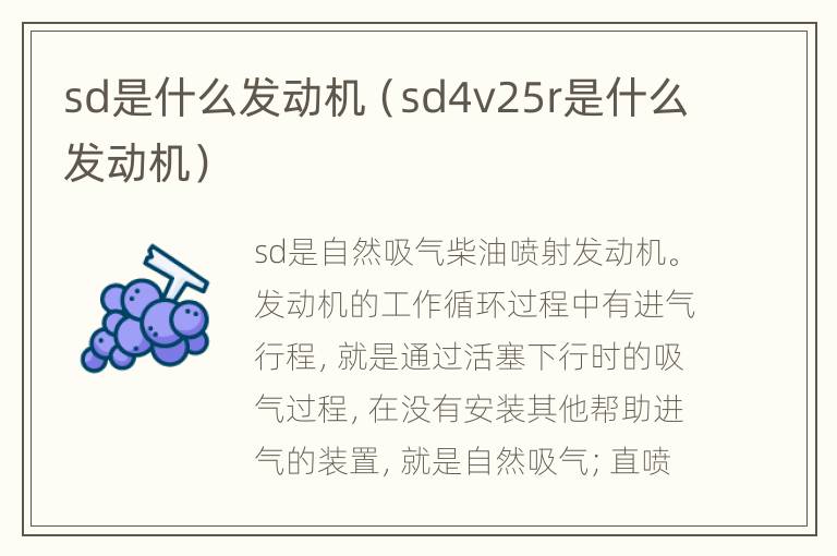 sd是什么发动机（sd4v25r是什么发动机）