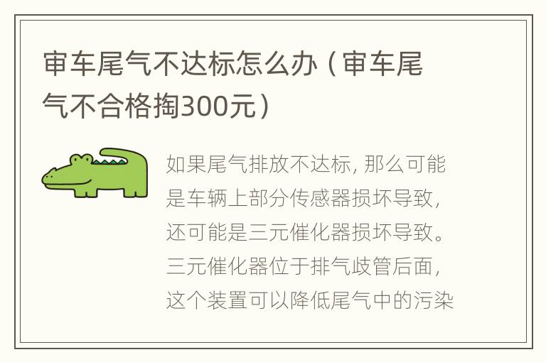 审车尾气不达标怎么办（审车尾气不合格掏300元）