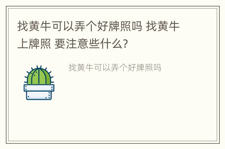 找黄牛可以弄个好牌照吗 找黄牛上牌照 要注意些什么?