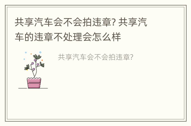 共享汽车会不会拍违章? 共享汽车的违章不处理会怎么样