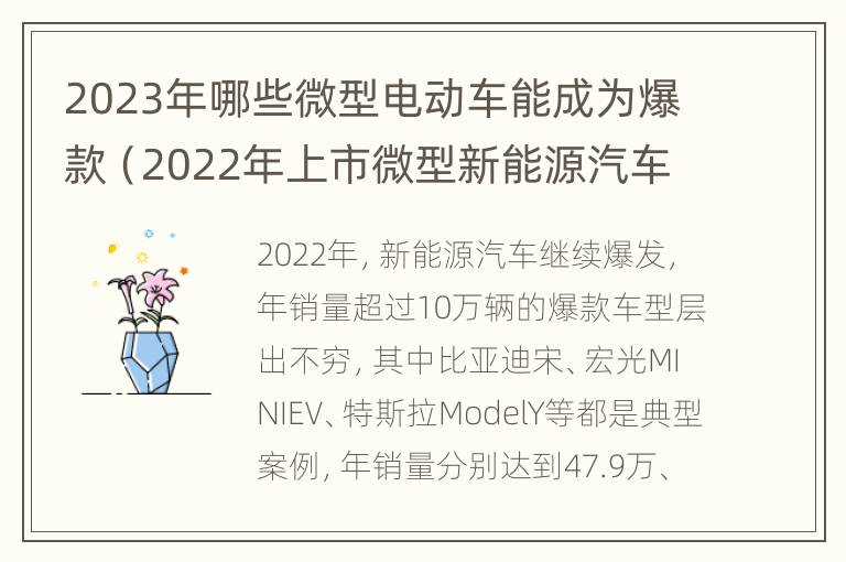 2023年哪些微型电动车能成为爆款（2022年上市微型新能源汽车）