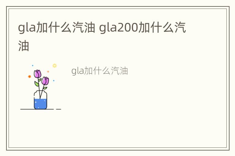 gla加什么汽油 gla200加什么汽油