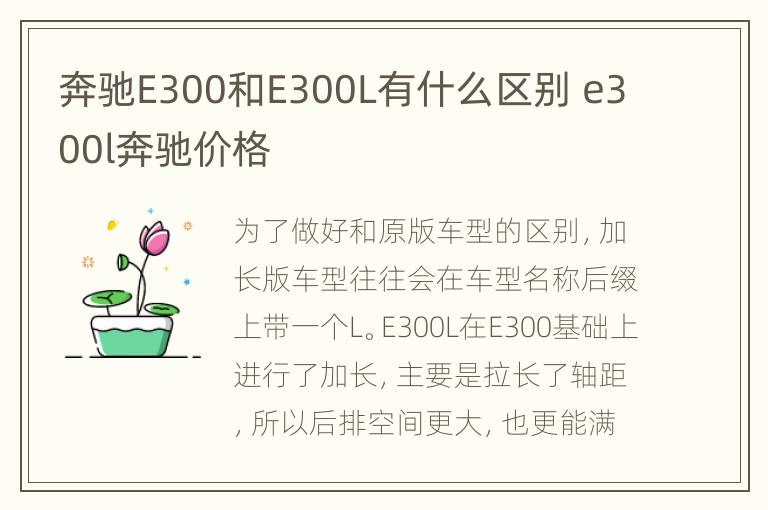 奔驰E300和E300L有什么区别 e300l奔驰价格