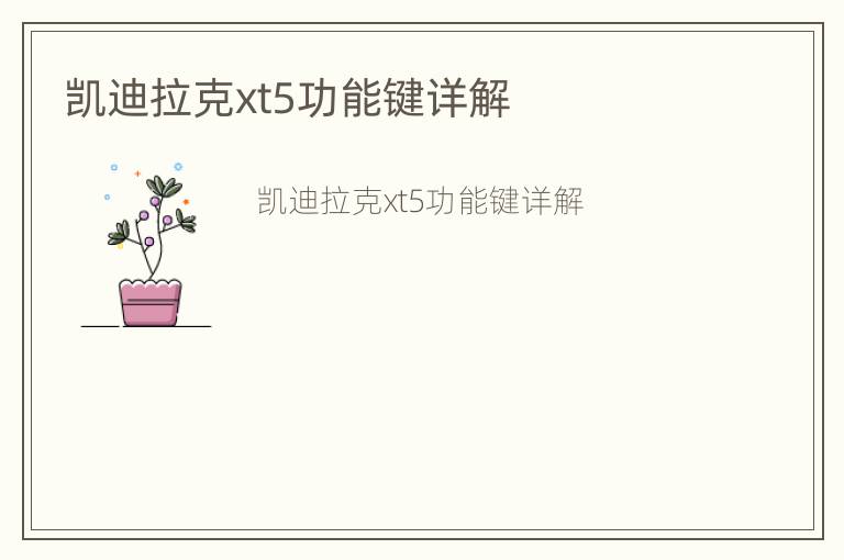 凯迪拉克xt5功能键详解