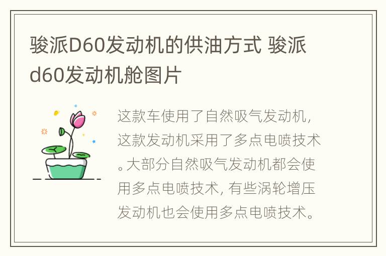 骏派D60发动机的供油方式 骏派d60发动机舱图片