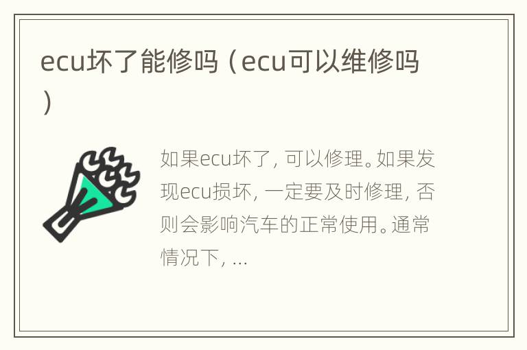 ecu坏了能修吗（ecu可以维修吗）