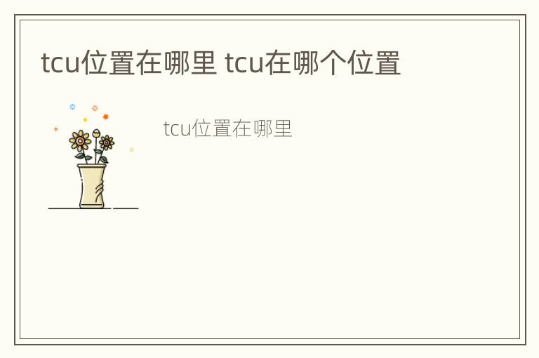 tcu位置在哪里 tcu在哪个位置