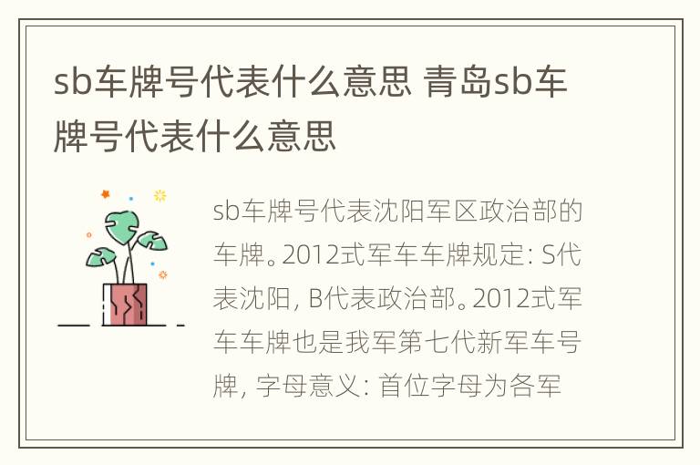 sb车牌号代表什么意思 青岛sb车牌号代表什么意思