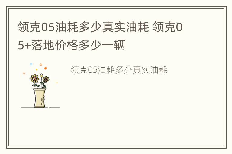 领克05油耗多少真实油耗 领克05+落地价格多少一辆