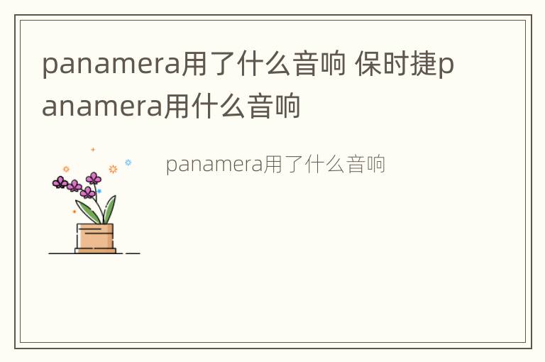 panamera用了什么音响 保时捷panamera用什么音响