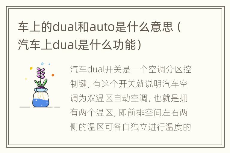 车上的dual和auto是什么意思（汽车上dual是什么功能）