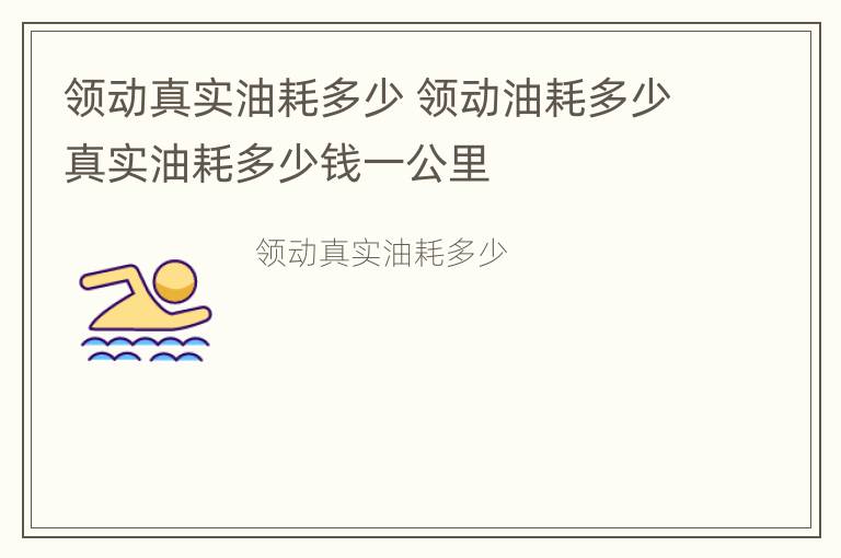 领动真实油耗多少 领动油耗多少真实油耗多少钱一公里