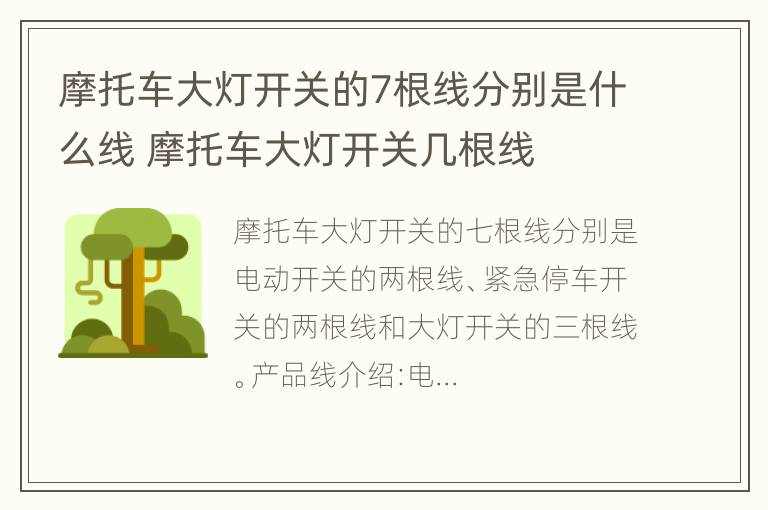 摩托车大灯开关的7根线分别是什么线 摩托车大灯开关几根线