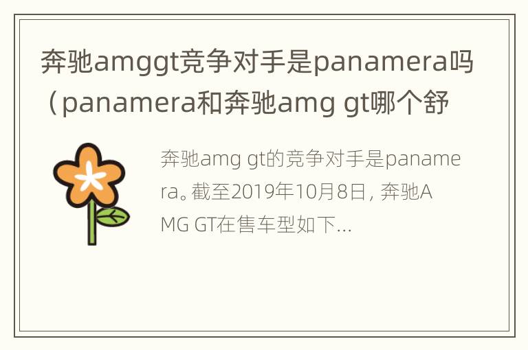 奔驰amggt竞争对手是panamera吗（panamera和奔驰amg gt哪个舒服）