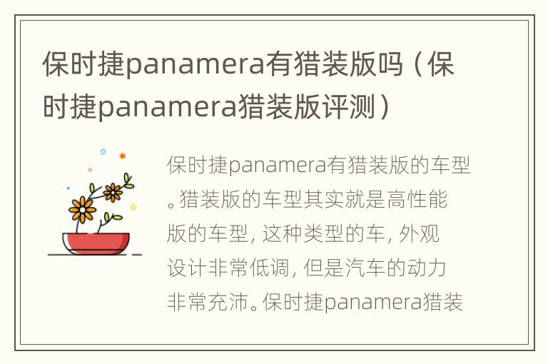 保时捷panamera有猎装版吗（保时捷panamera猎装版评测）