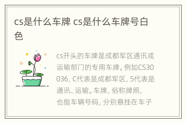 cs是什么车牌 cs是什么车牌号白色