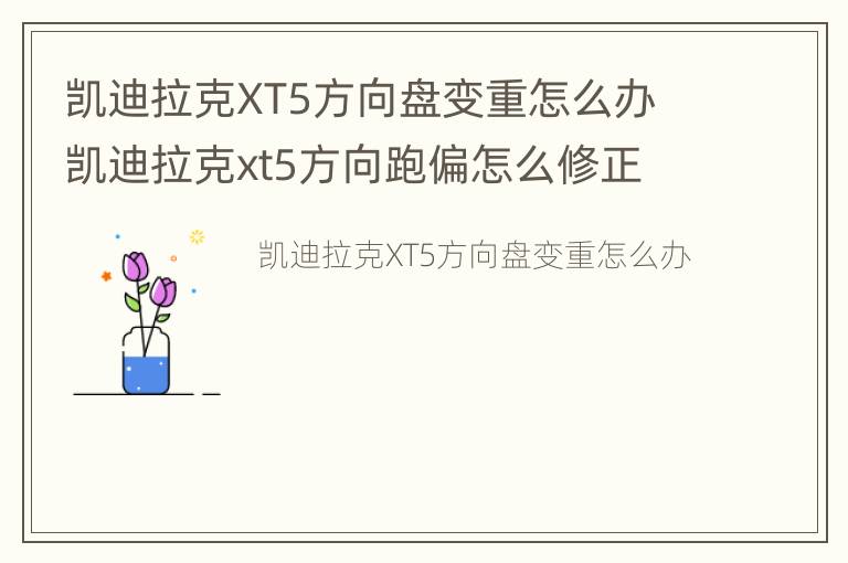 凯迪拉克XT5方向盘变重怎么办 凯迪拉克xt5方向跑偏怎么修正