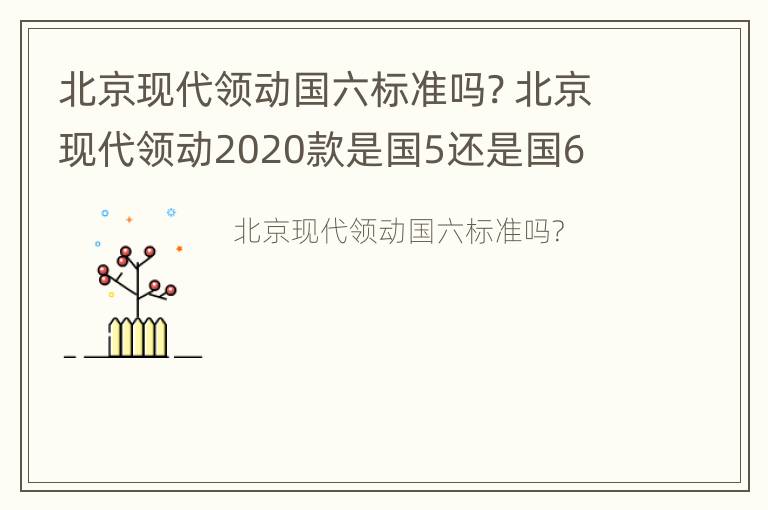 北京现代领动国六标准吗? 北京现代领动2020款是国5还是国6