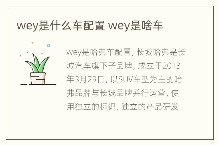 wey是什么车配置 wey是啥车